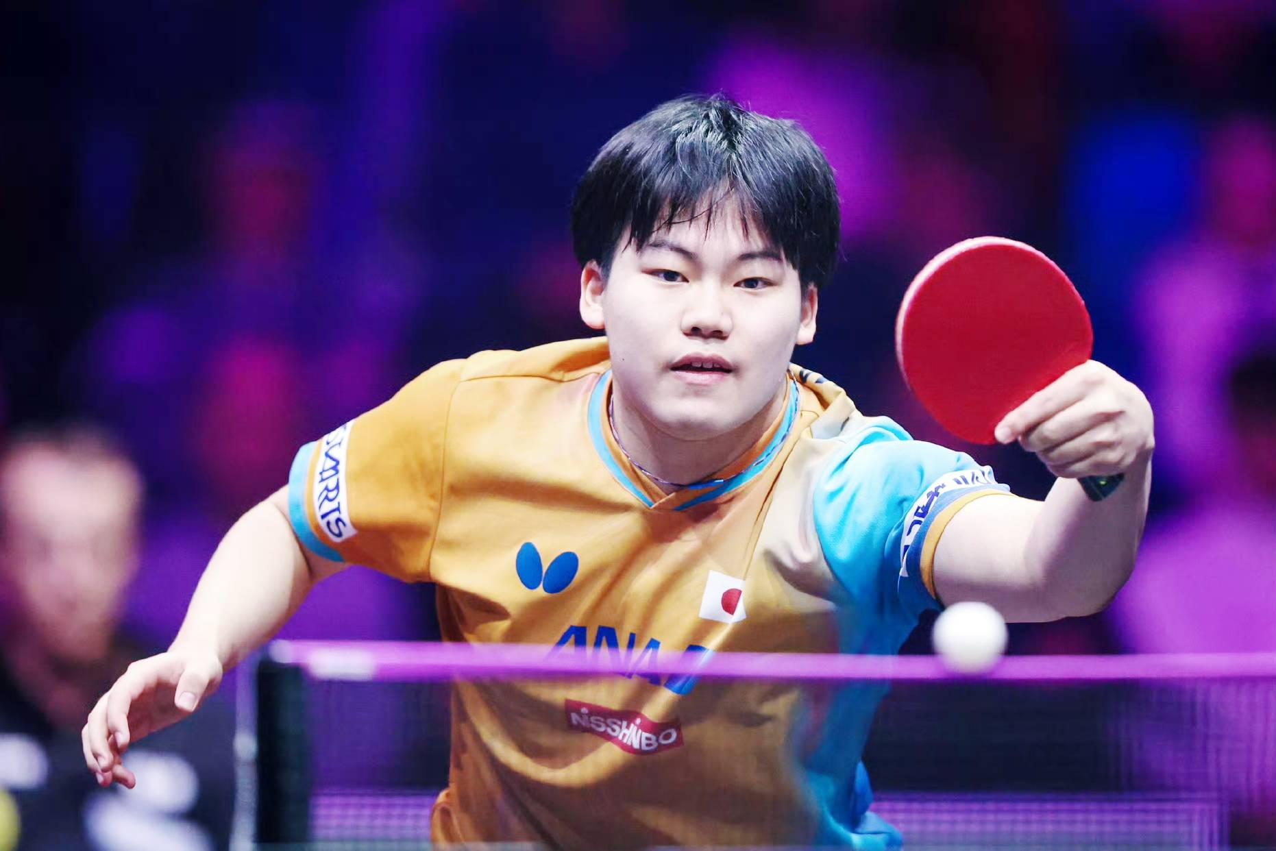 法国乒乓球队血洗日本乒乓球队，奥恰洛夫完成帽子戏法的简单介绍