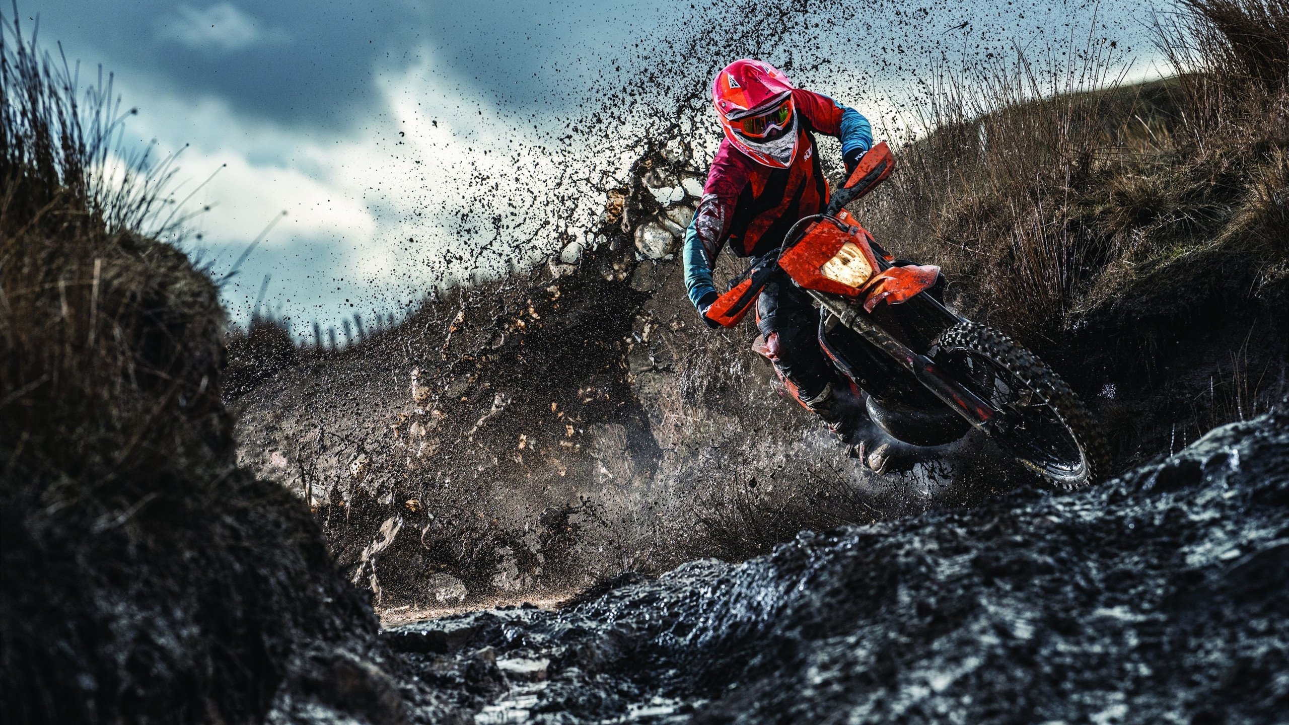 掘金逆转山东队，布克惊艳四座，一场关于坚韧与天赋的篮球盛宴